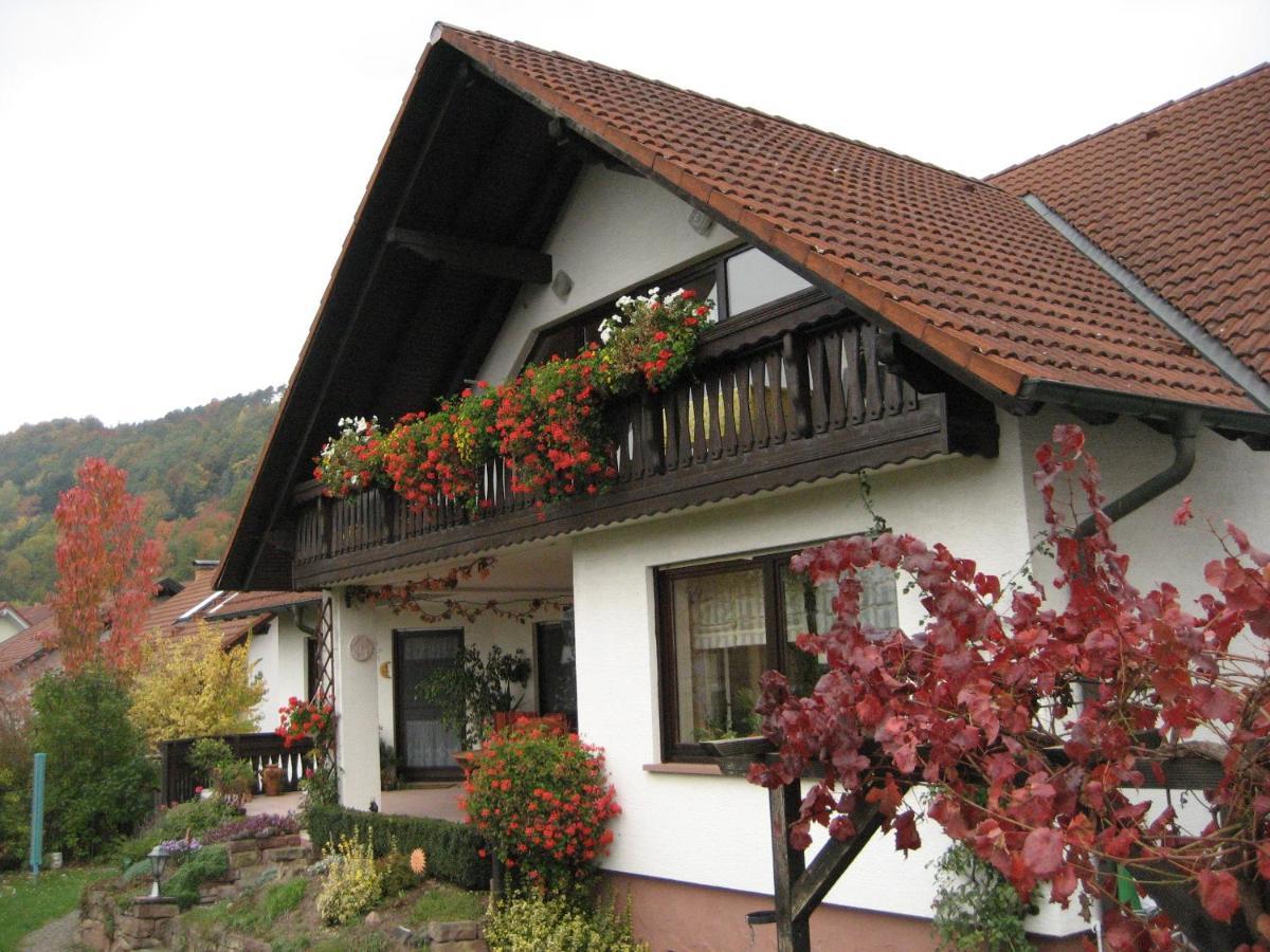 Ferienwohnungen Haus Albert Grossheubach Exterior photo
